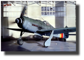 Focke Wulf Fw190 D. Scratch built in metal by Rojas Bazán. 1:15 scale. Focke Wulf Fw190 D. Scratch built in metal by Rojas Bazán. 1:15 scale.
